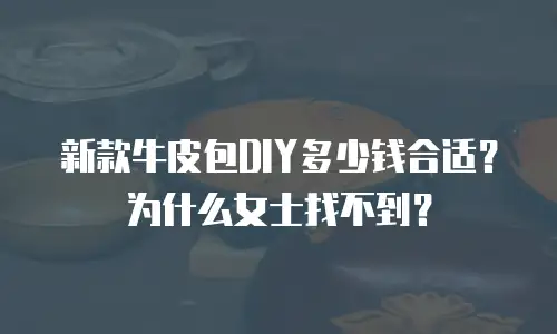 新款牛皮包DIY多少钱合适？为什么女士找不到？