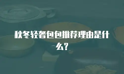 秋冬轻奢包包推荐理由是什么？