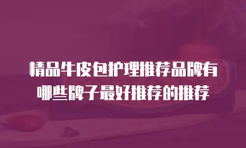 精品牛皮包护理推荐品牌有哪些牌子最好推荐的推荐