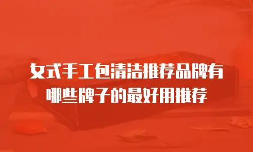 女式手工包清洁推荐品牌有哪些牌子的最好用推荐