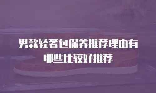 男款轻奢包保养推荐理由有哪些比较好推荐