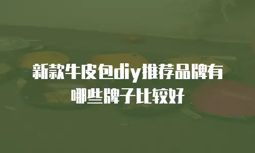 新款牛皮包diy推荐品牌有哪些牌子比较好