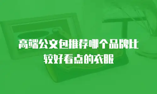 高端公文包推荐哪个品牌比较好看点的衣服