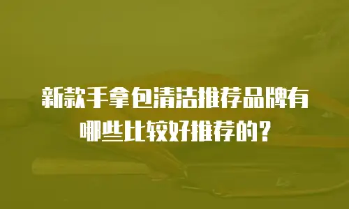 新款手拿包清洁推荐品牌有哪些比较好推荐的？