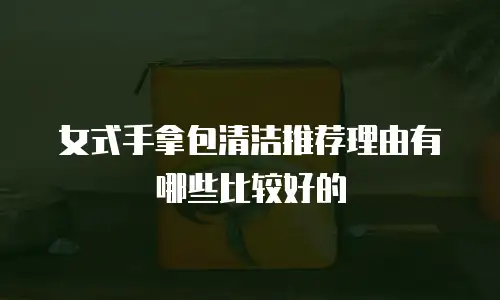 女式手拿包清洁推荐理由有哪些比较好的
