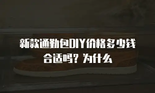 新款通勤包DIY价格多少钱合适吗？为什么