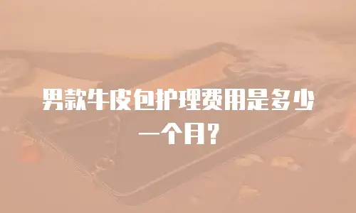 男款牛皮包护理费用是多少一个月？
