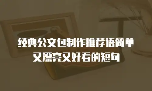 经典公文包制作推荐语简单又漂亮又好看的短句