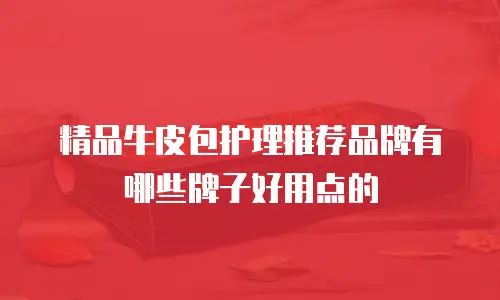 精品牛皮包护理推荐品牌有哪些牌子好用点的