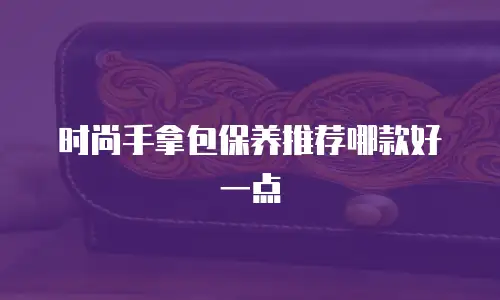 时尚手拿包保养推荐哪款好一点