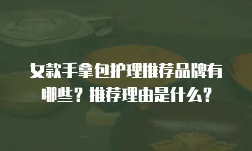女款手拿包护理推荐品牌有哪些？推荐理由是什么？