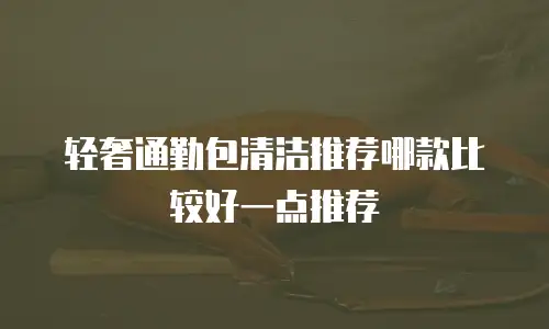 轻奢通勤包清洁推荐哪款比较好一点推荐