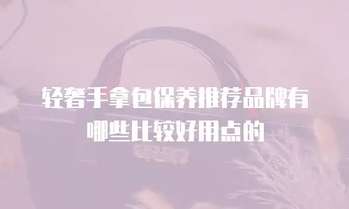 轻奢手拿包保养推荐品牌有哪些比较好用点的