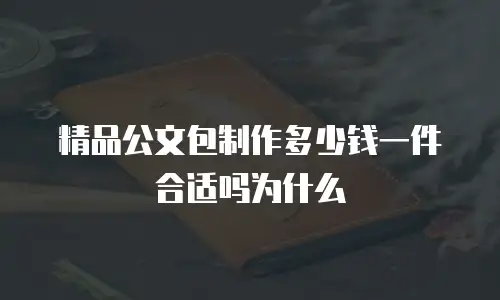 精品公文包制作多少钱一件合适吗为什么