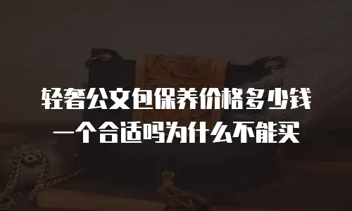 轻奢公文包保养价格多少钱一个合适吗为什么不能买