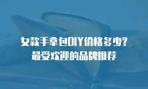 女款手拿包DIY价格多少？最受欢迎的品牌推荐