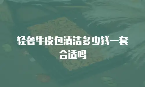 轻奢牛皮包清洁多少钱一套合适吗