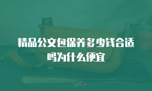 精品公文包保养多少钱合适吗为什么便宜