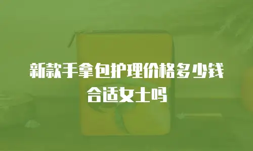 新款手拿包护理价格多少钱合适女士吗
