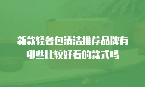 新款轻奢包清洁推荐品牌有哪些比较好看的款式吗