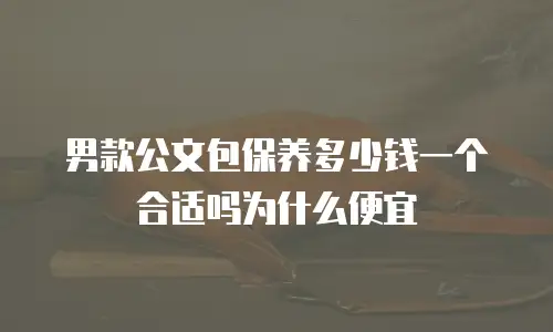 男款公文包保养多少钱一个合适吗为什么便宜