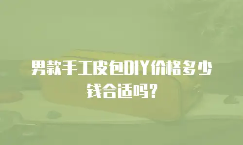 男款手工皮包DIY价格多少钱合适吗？