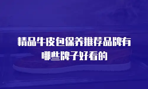 精品牛皮包保养推荐品牌有哪些牌子好看的