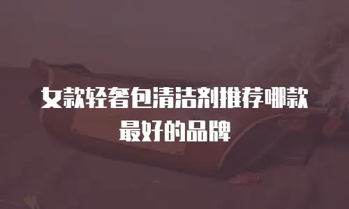 女款轻奢包清洁剂推荐哪款最好的品牌