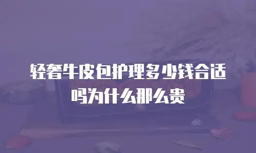 轻奢牛皮包护理多少钱合适吗为什么那么贵