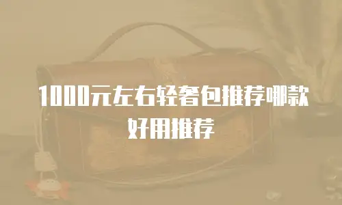 1000元左右轻奢包推荐哪款好用推荐