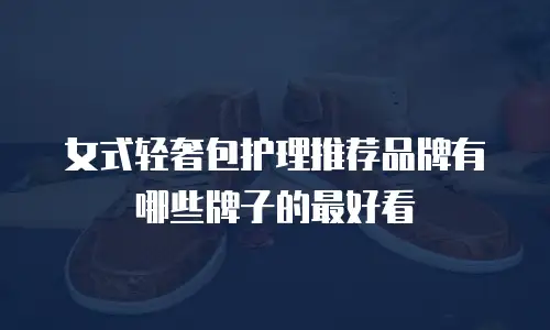 女式轻奢包护理推荐品牌有哪些牌子的最好看