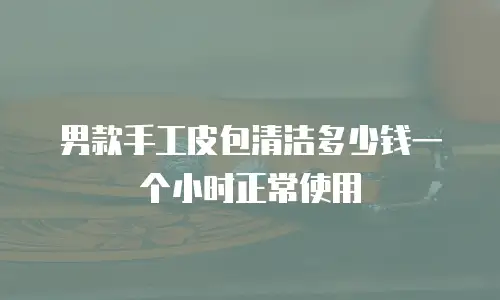 男款手工皮包清洁多少钱一个小时正常使用