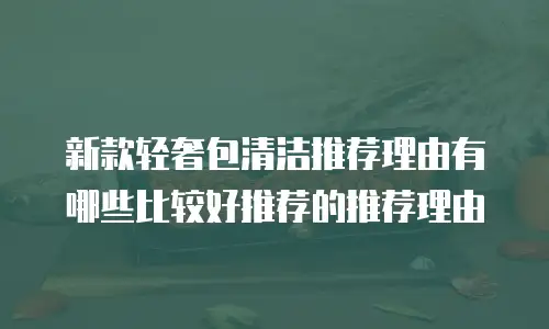 新款轻奢包清洁推荐理由有哪些比较好推荐的推荐理由