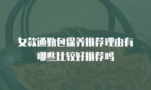 女款通勤包保养推荐理由有哪些比较好推荐吗
