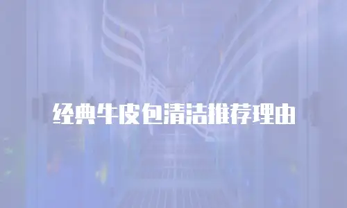经典牛皮包清洁推荐理由