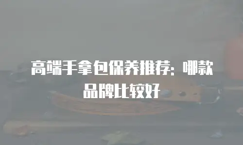 高端手拿包保养推荐: 哪款品牌比较好