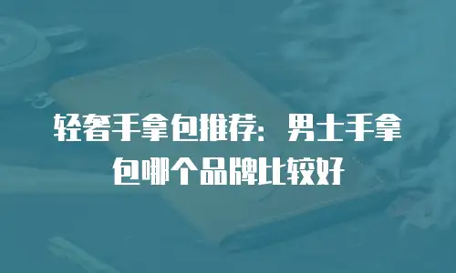 轻奢手拿包推荐：男士手拿包哪个品牌比较好