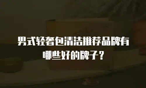 男式轻奢包清洁推荐品牌有哪些好的牌子？