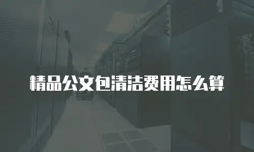 精品公文包清洁费用怎么算