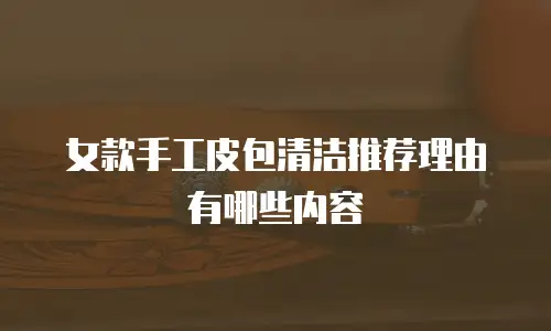 女款手工皮包清洁推荐理由有哪些内容