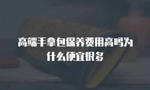 高端手拿包保养费用高吗为什么便宜很多