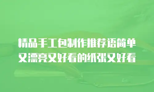 精品手工包制作推荐语简单又漂亮又好看的纸张又好看