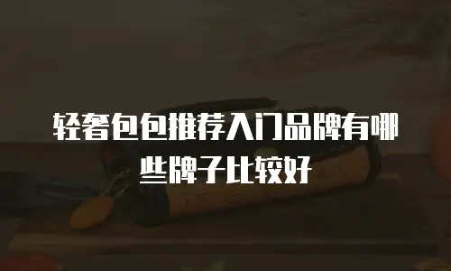轻奢包包推荐入门品牌有哪些牌子比较好