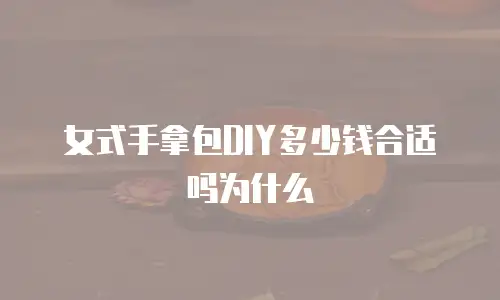 女式手拿包DIY多少钱合适吗为什么