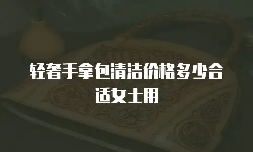 轻奢手拿包清洁价格多少合适女士用