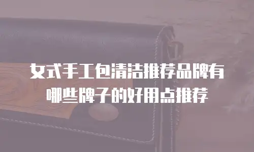 女式手工包清洁推荐品牌有哪些牌子的好用点推荐