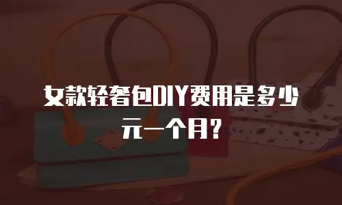 女款轻奢包DIY费用是多少元一个月？