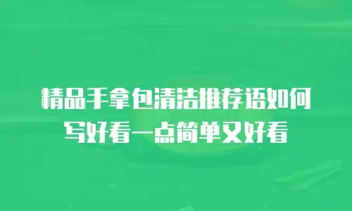 精品手拿包清洁推荐语如何写好看一点简单又好看