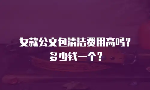 女款公文包清洁费用高吗？多少钱一个？