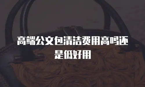 高端公文包清洁费用高吗还是低好用